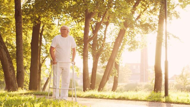 Disabled old man is walking with a walker. Handicapped patient in the park. Assistance, rehabilitation and health care. Golden hour sunset.