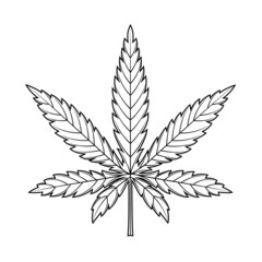 Marijuana leaf or cannabis leaf weed icon