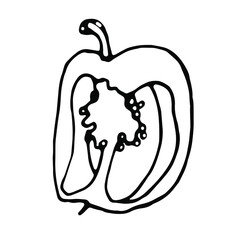 Pepper doodle.Hand drawn line art.