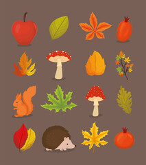 sixteen autumn items