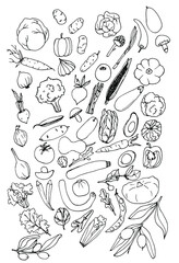 Vegetables doodle.Hand drawn line art.