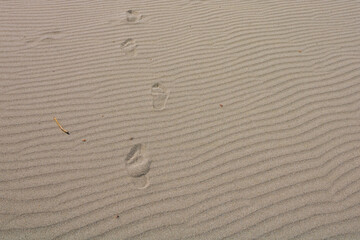 Fototapeta na wymiar Footprints on the wavy sand in a beach. Freedom and vacation theme.