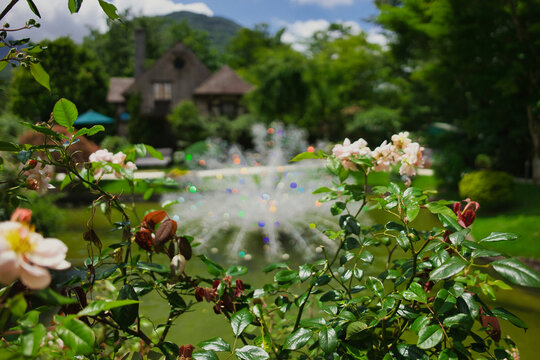 洋風庭園 の画像 1 9 件の Stock 写真 ベクターおよびビデオ Adobe Stock