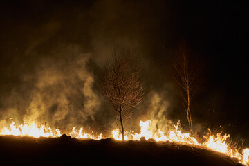 fire at night forest,natural disaster burns at night