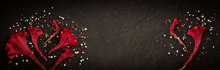 Top view closeup image of fluffy red flower over black background