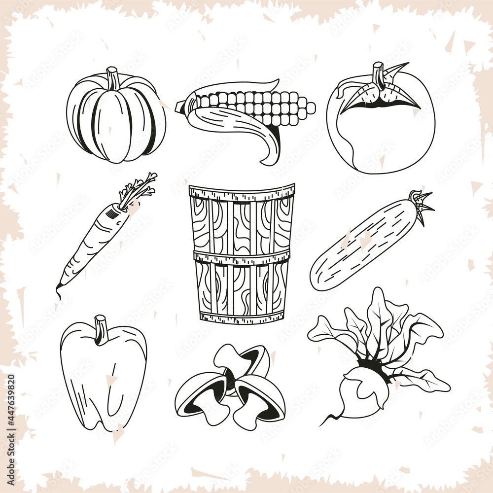 Sticker healthy and organic vegetables icon collection