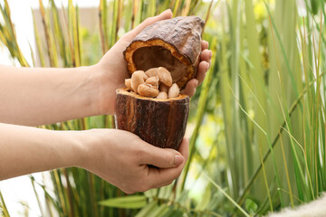 Woman holding fresh cocoa fruit outdoors