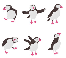 Set of funny puffins in different poses