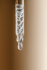 Fototapeta premium A drop of cosmetic oil falls from the pipette