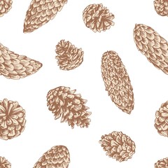Seamless pattern with different coniferous tree cones of pine, spruce and fir on white background. Endless repeatable texture with pinecones. Colored hand-drawn vector illustration in vintage style