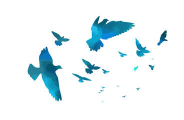 Obraz premium A flock of blue birds. Vector illustration