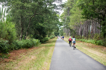 Obraz premium cyclists cycling on the cycle path crossing the forest