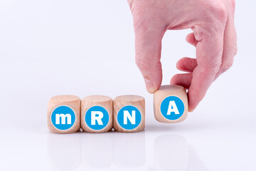 Eine Hand legt aus einzelnen Buchstaben auf Würfel das Wort mRNA