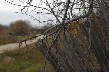 old fence in the village in autumn on the background of the road