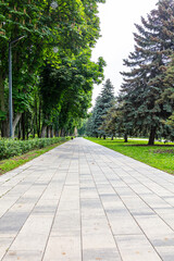 A path of paving slabs in a park