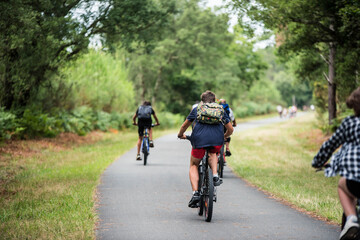 Naklejka premium cyclists cycling on the cycle path crossing the forest