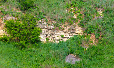 Rocks in green grass on a mountainside.