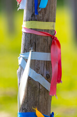 Multi-colored ribbons on a log.