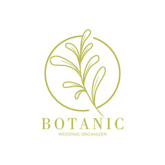 illustration of a leaf, botanical logo design