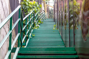 Long green staircase going up.