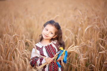 A bouquet of wheat spikelets tied with a yellow and blue ribbon in the hands of a girl in an...