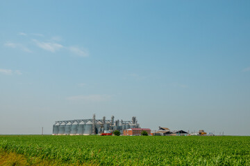 Fototapeta na wymiar Silos in a barley field. Storage of agricultural production. In field