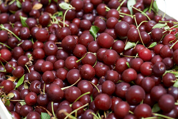 fresh cherries are in a box