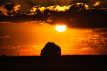 Fototapeta premium Sol
