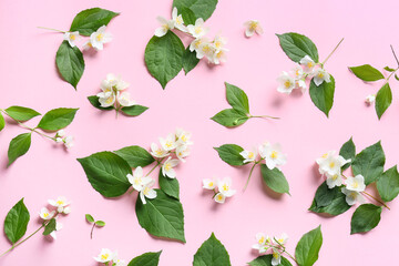 Beautiful jasmine flowers on color background