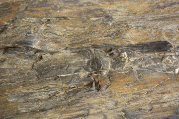 The texture of the light-colored stone is similar to wood