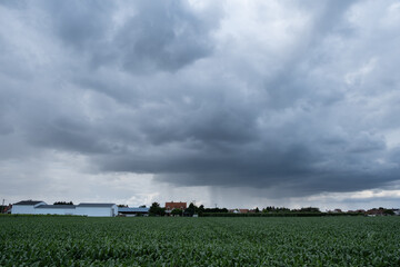 Obraz premium Heavy clouds and a storm in the sky above a city in the countryside