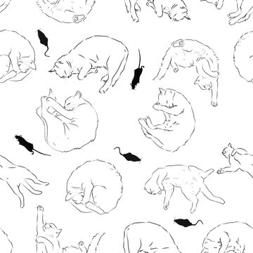 funny cat sleep and mouse position line drawing, pattern