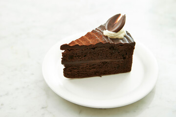 A piece of chocolate cake on a plate