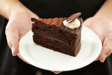 A piece of chocolate cake on a plate