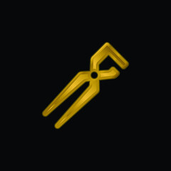 Big Clippers gold plated metalic icon or logo vector