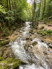 Fototapeta premium Summer view of the River Herisson, france, jura
