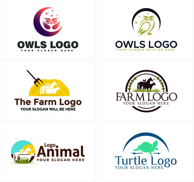 Line art badge logo design horse and owl with turtle suitable for animal zoo pet shop animal lovers livestock farm