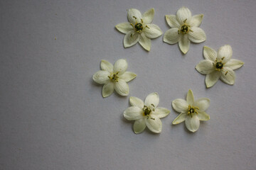 Naklejka na ściany i meble White flowers pattern on table 