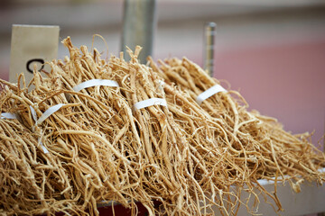 milk vetch root, Various herbal medicines on display at the traditional market