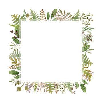 Floral natural boho style frame. Hand drawn watercolor rustic elegant square frame. Countryside decoration from fern, evergreen herbs, forest leaves. Natural square decor. White background