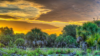 Early morning dramatic sky off the gulf coast of Florida at Shamrock park nature reserve