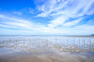 有明海の干潟　佐賀県鹿島市　Ariake Sea tidal flat Saga-ken Kashima city