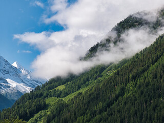 Mountain slope with forest and cloud formation in the Pennine Alps, also known as the Valais Alps (Switzerland) 