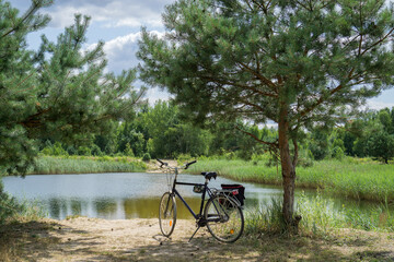 The bike stands on a sandy beach of a forest lake under a separate pine tree against a blue sky.