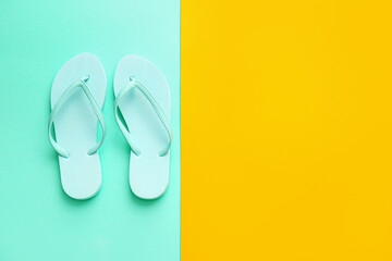 Stylish flip-flops on color background
