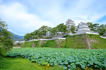 夏の島原城と蓮　長崎県島原市　Shimabara castle in 
summer and lotus Nagasaki-ken...
