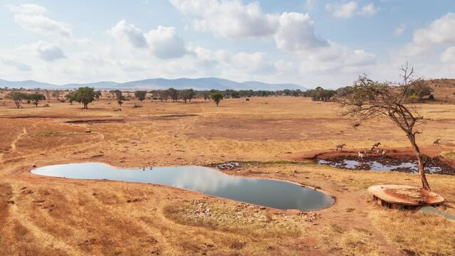 Time lapse of the Tsavo Nationalpark in Kenia with elephants, zebras and monkeys