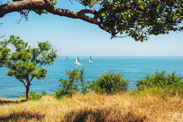 View from the shore on sailing yachts