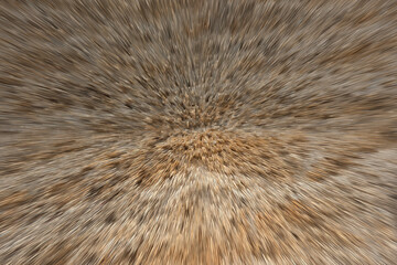 Abstract image of zoom in closeup sea sand. A dynamic brown tone background creates a vibration and space for copy text.