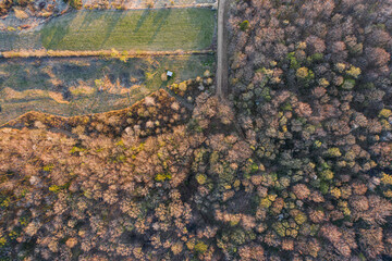 Top view of broadleaf forest in the beginning of spring